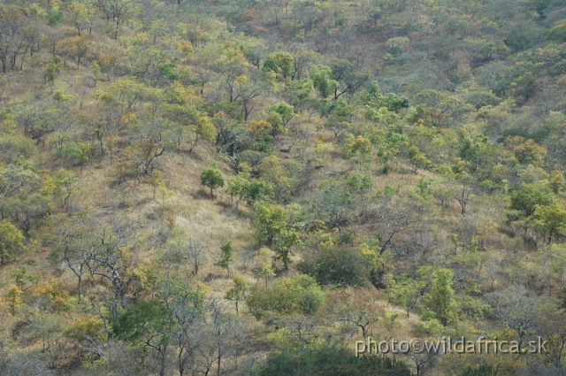 DSC_1356.JPG - Baobab Valley