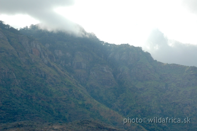 DSC_0940.JPG - Pare Mountains, North Tanzania