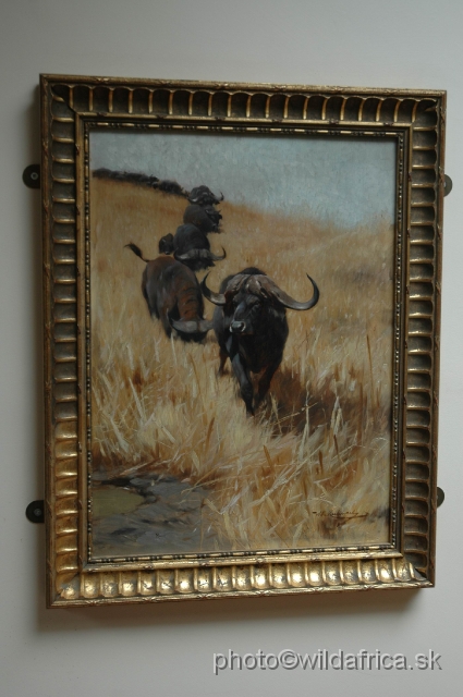 DSC_000551.JPG - African Buffaloes painting, Wilhelm Kuhnert, Dept. Mammalogy, Natural History Museum, London