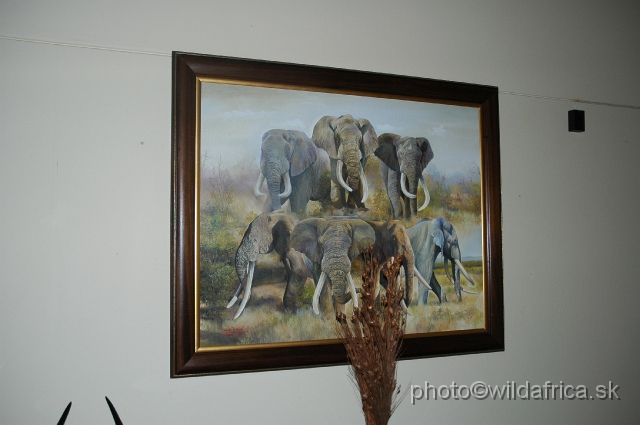 DSC_0060.JPG - Magnificient Seven - Greatest Tuskers of Kruger