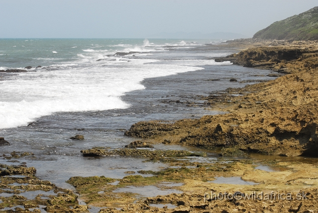 _DSC2308.JPG - This is coastal part near Mozambique border.