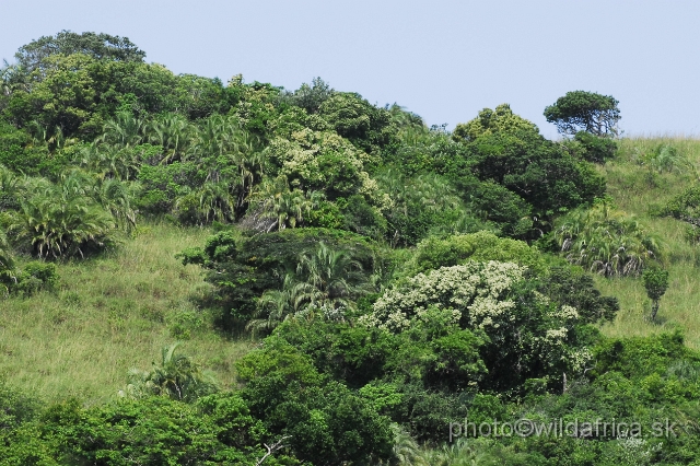 _DSC2320.JPG - Habitat diversity of St Lucia Wetland Park